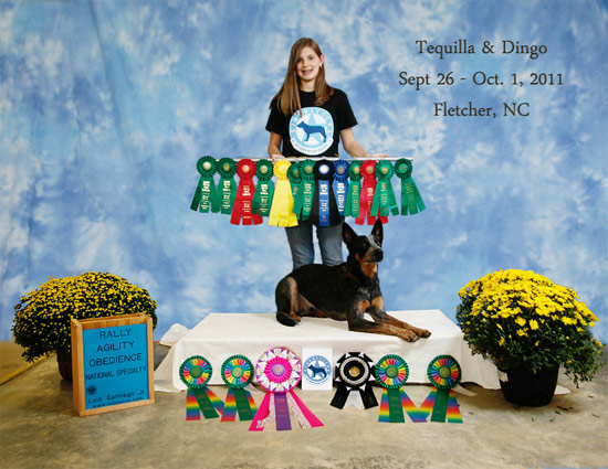 Junior Handler with her dog Dingo and their ribbons won in competition